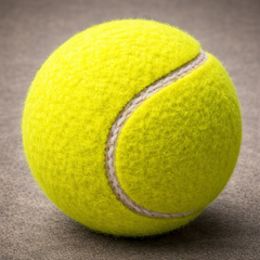 TENNIS BALL - HARD CRICKET BALL