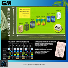 GM Brava 606 Cricket Bat