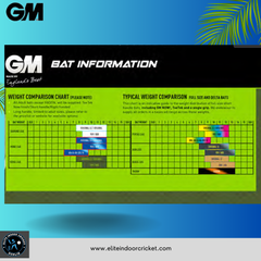 GM Brava 606 Cricket Bat