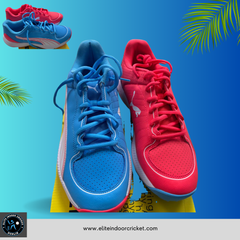 Puma cricket shoes