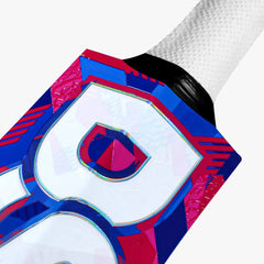 DSC Intense Rage English Willow Bat