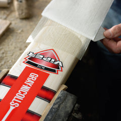 Gray Nicolls Fibretec Sheet (2025)