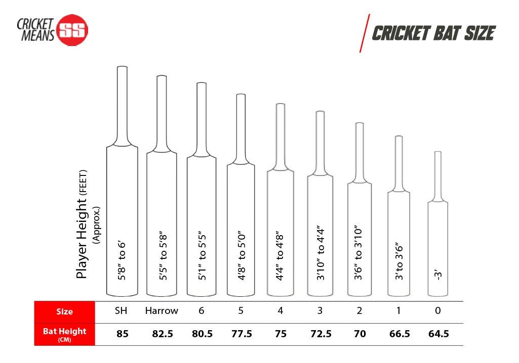 SS Bat  RAVINDRA JADEJA