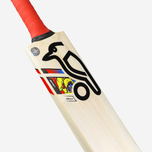 Kookaburra BEAST PRO 6.0 CRICKET BAT